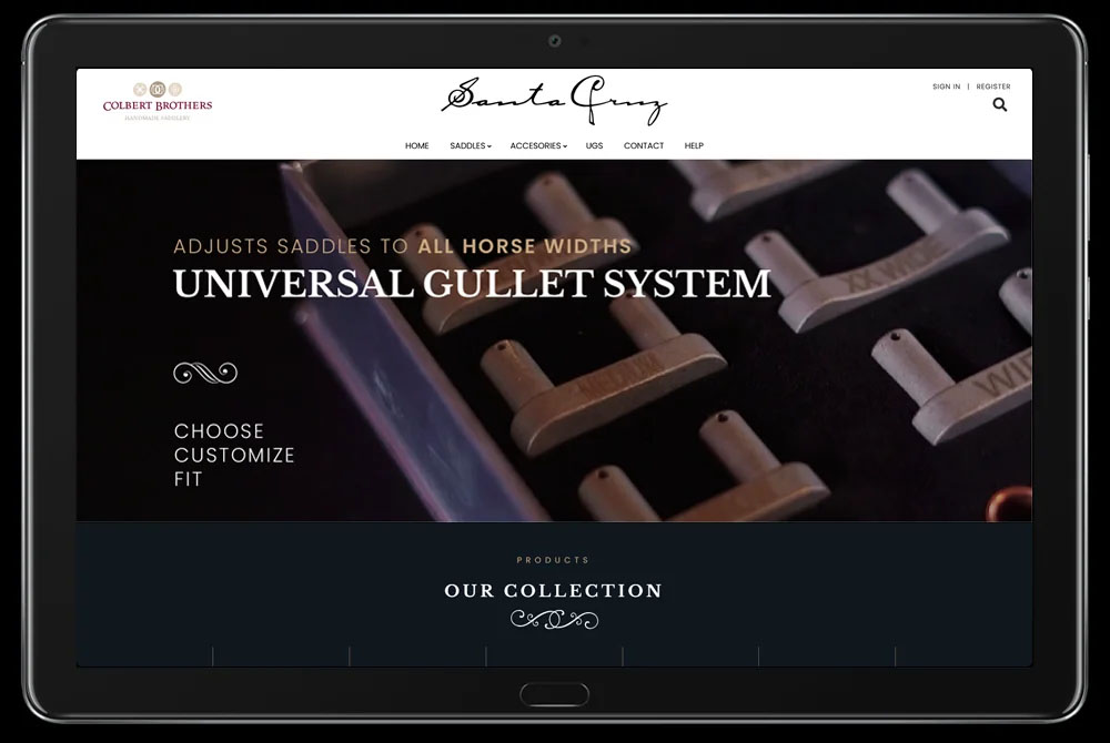 Ecommerce diseño web