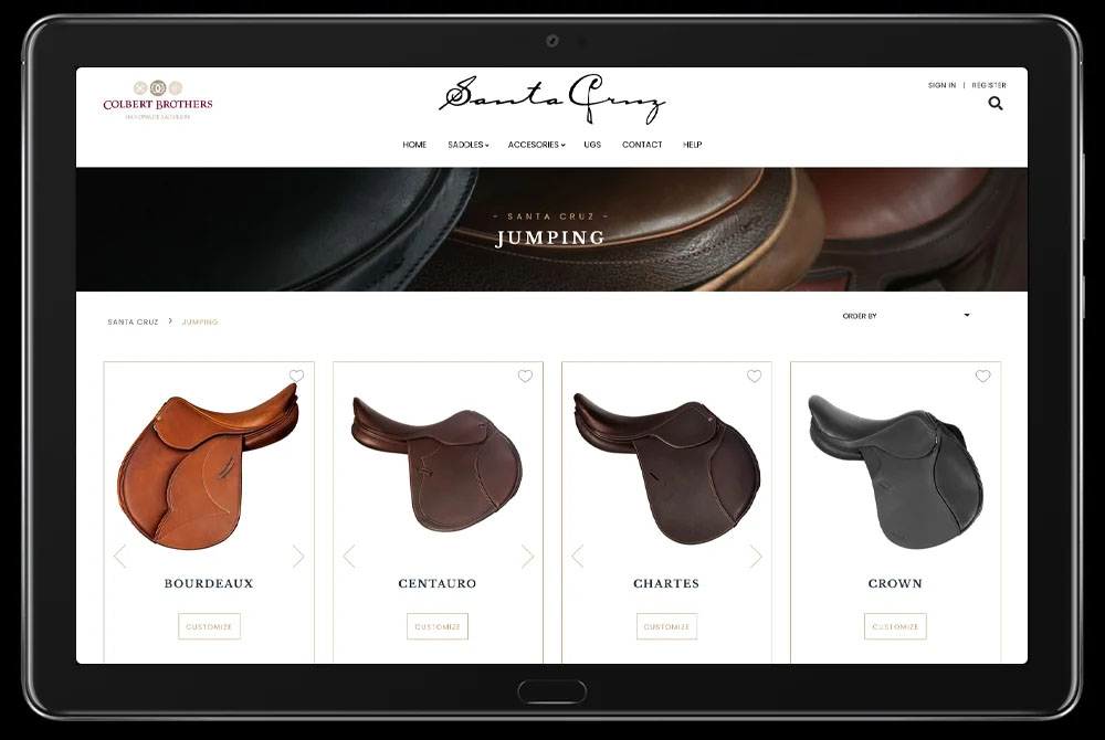 diseño y prgramacion web para ecommerce