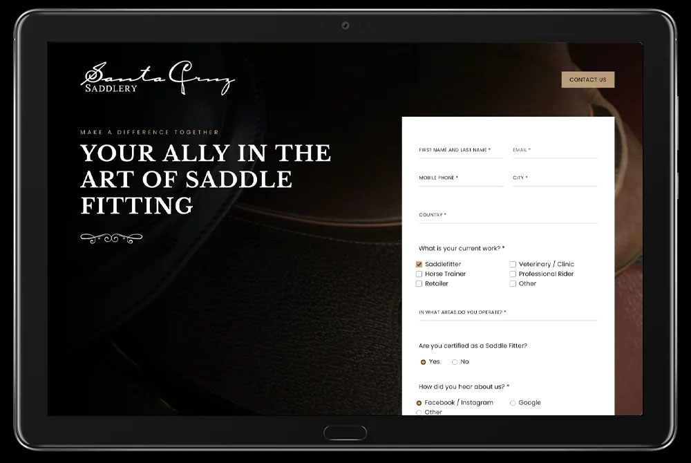 diseño web páginas web