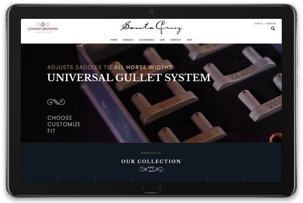 Santa Cruz diseño web