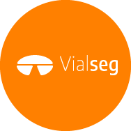 vialseg Logo