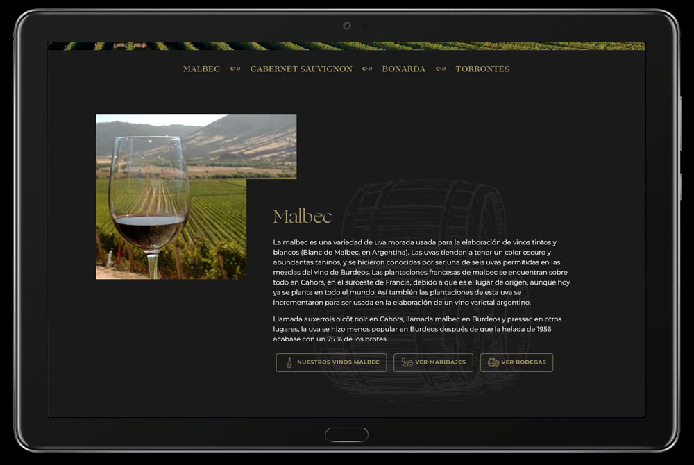 Ecommerce diseño web
