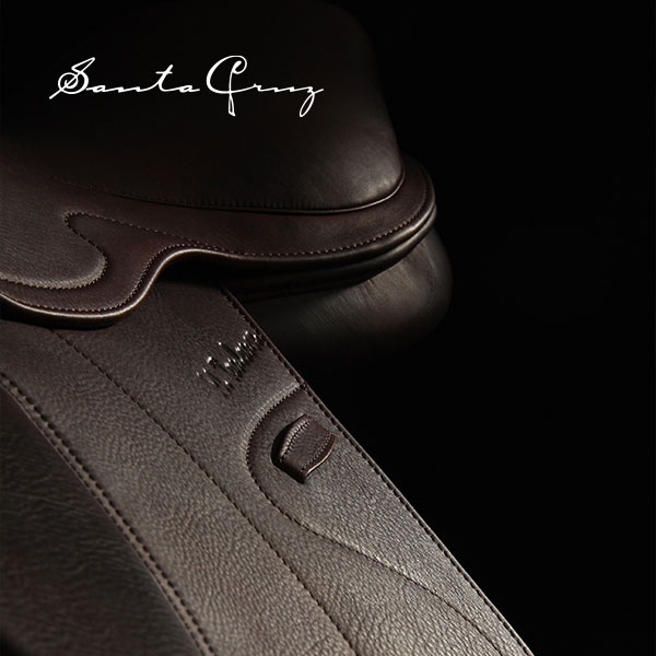 santa cruz diseño de ecommerce personalizado