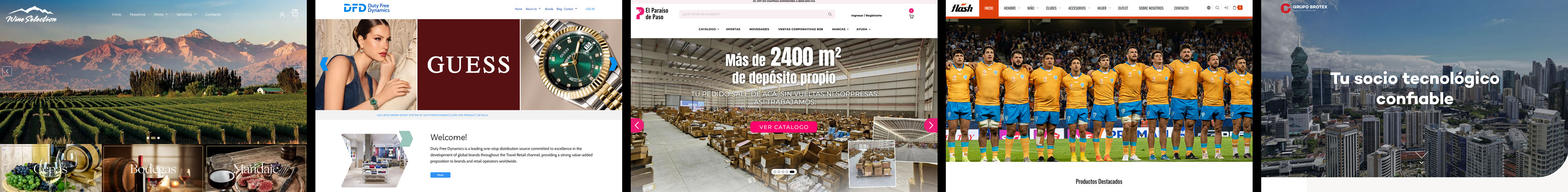 Portfolio de diseño web profesional y soluciones digitales a medida