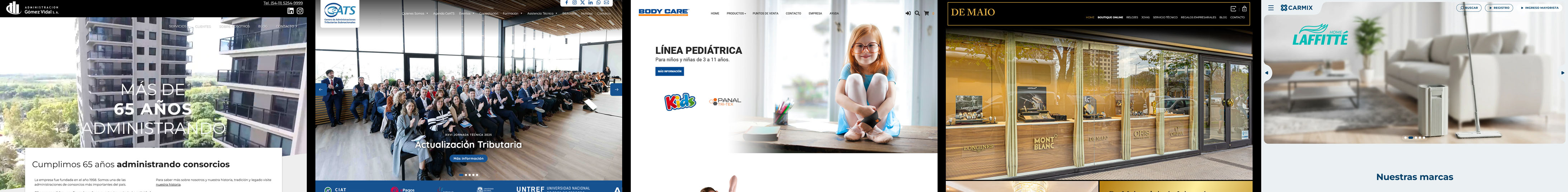 Implementaciones de sistemas para venta mayorista y gestión de catálogos