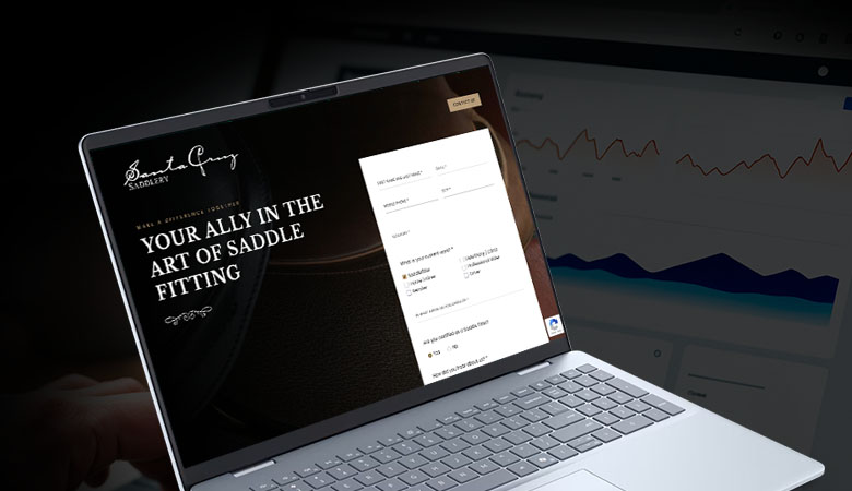 Posicionamiento Orgánico en sitios web & ecommerce