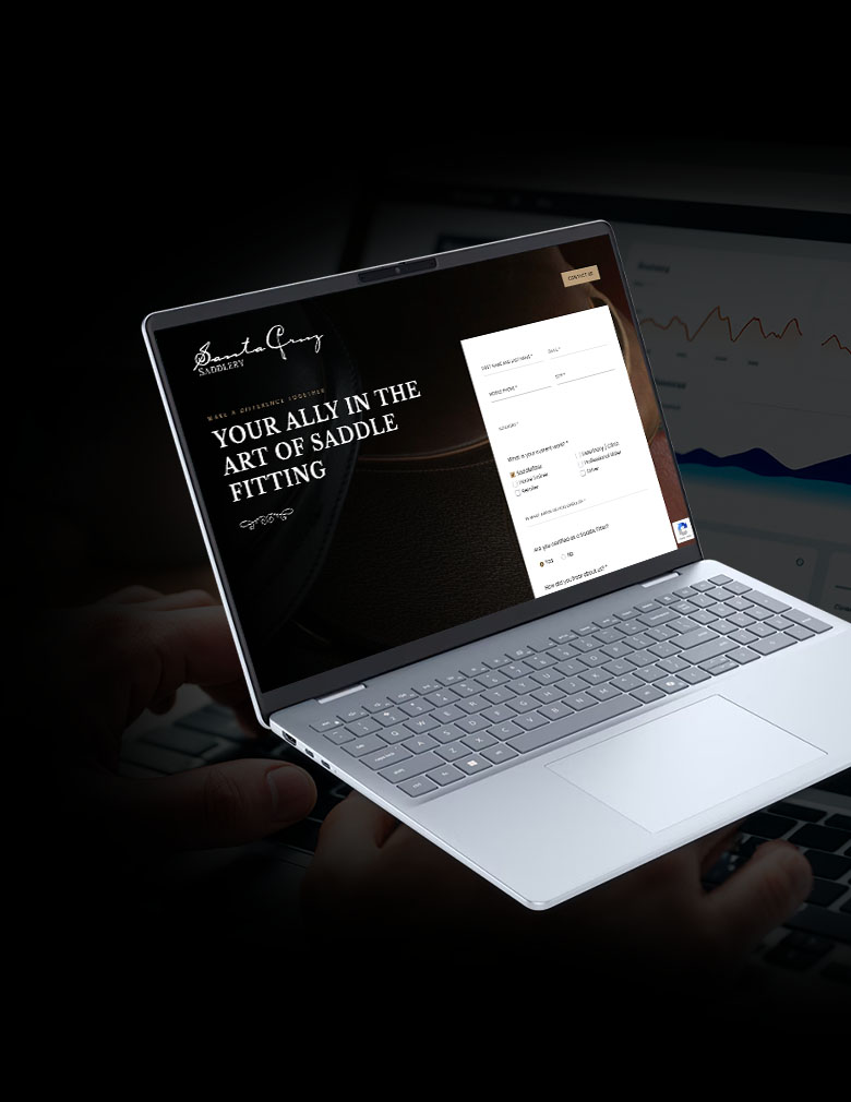 Posicionamiento Orgánico en sitios web & ecommerce